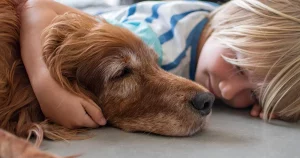Understanding the euthanasia process for pets